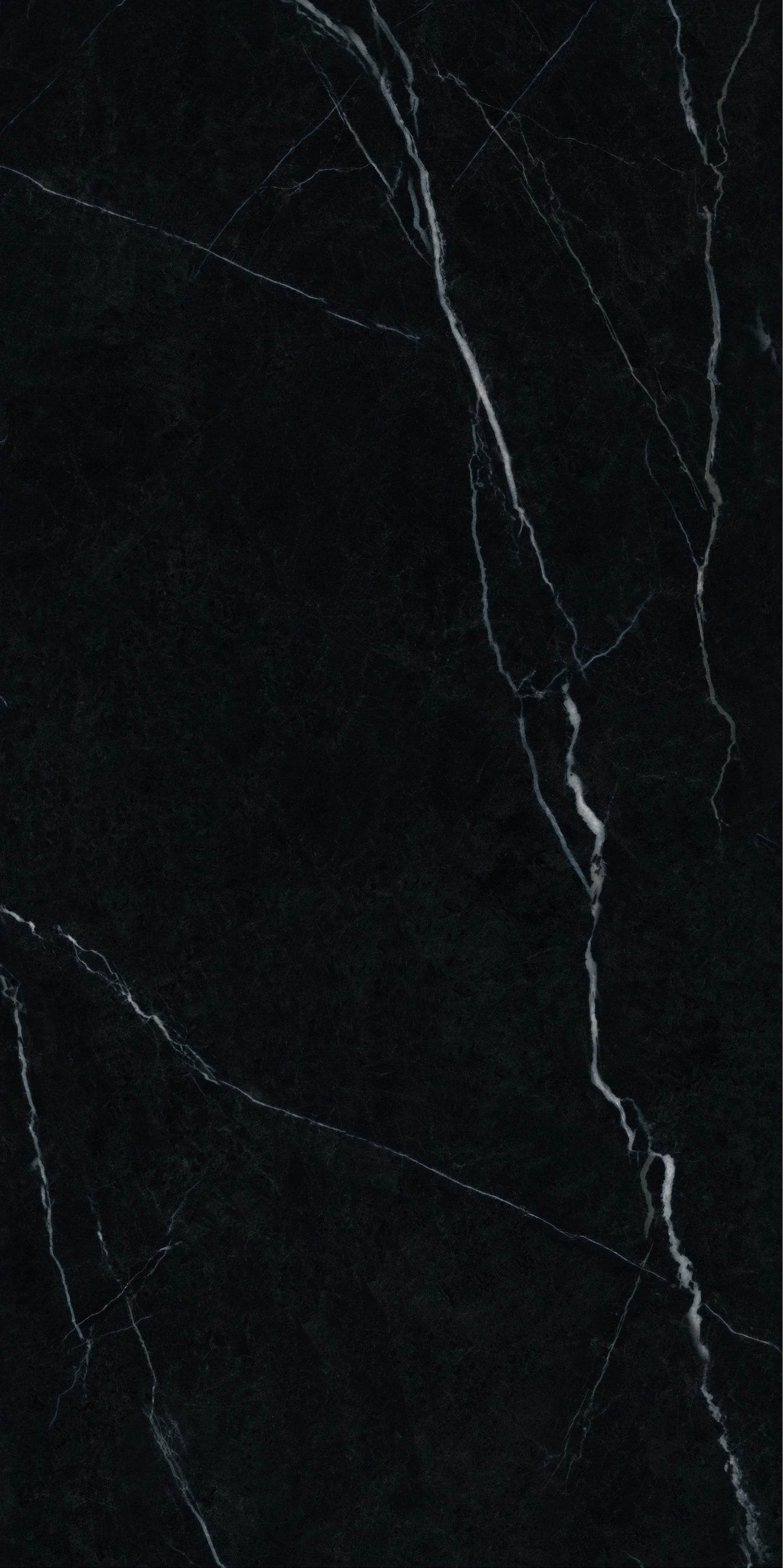 600*600 Nero Marquina Glazed Porcelain Floor Tile image 0
