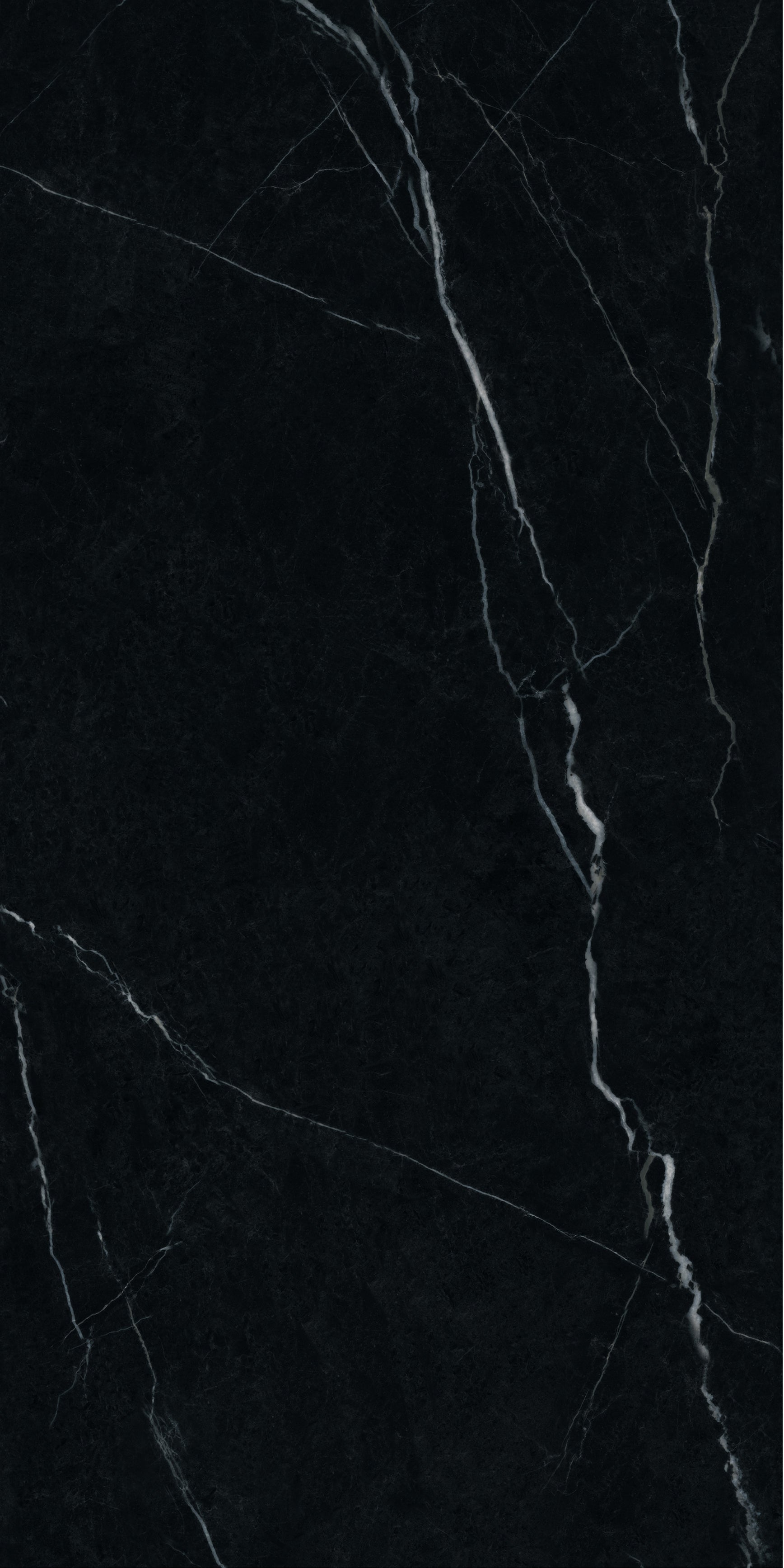 600*600 Nero Marquina Glazed Porcelain Floor Tile image 0