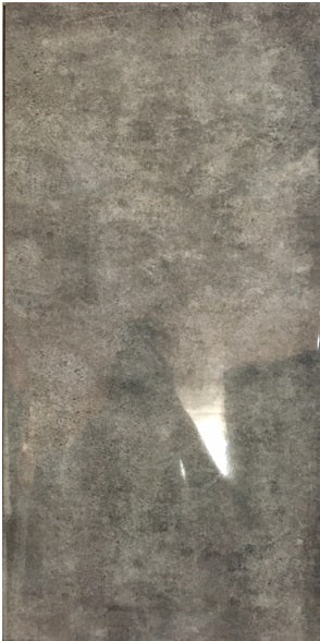 300*600 Renaissance Iron Gloss N/R Ceramic Wall Tile image 0