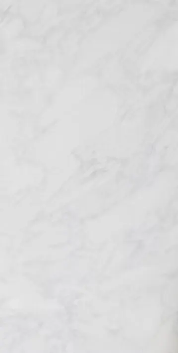 300*600 Lugano Chiaro Bianco Carrara Rect Gloss Ceramic Wall Tile