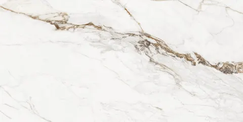 600*600 Paonazzo White Carving Matt Floor Tile