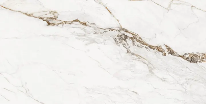 600*600 Paonazzo White Carving Matt Floor Tile
