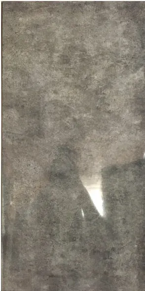 300*600 Renaissance Iron Gloss N/R Ceramic Wall Tile